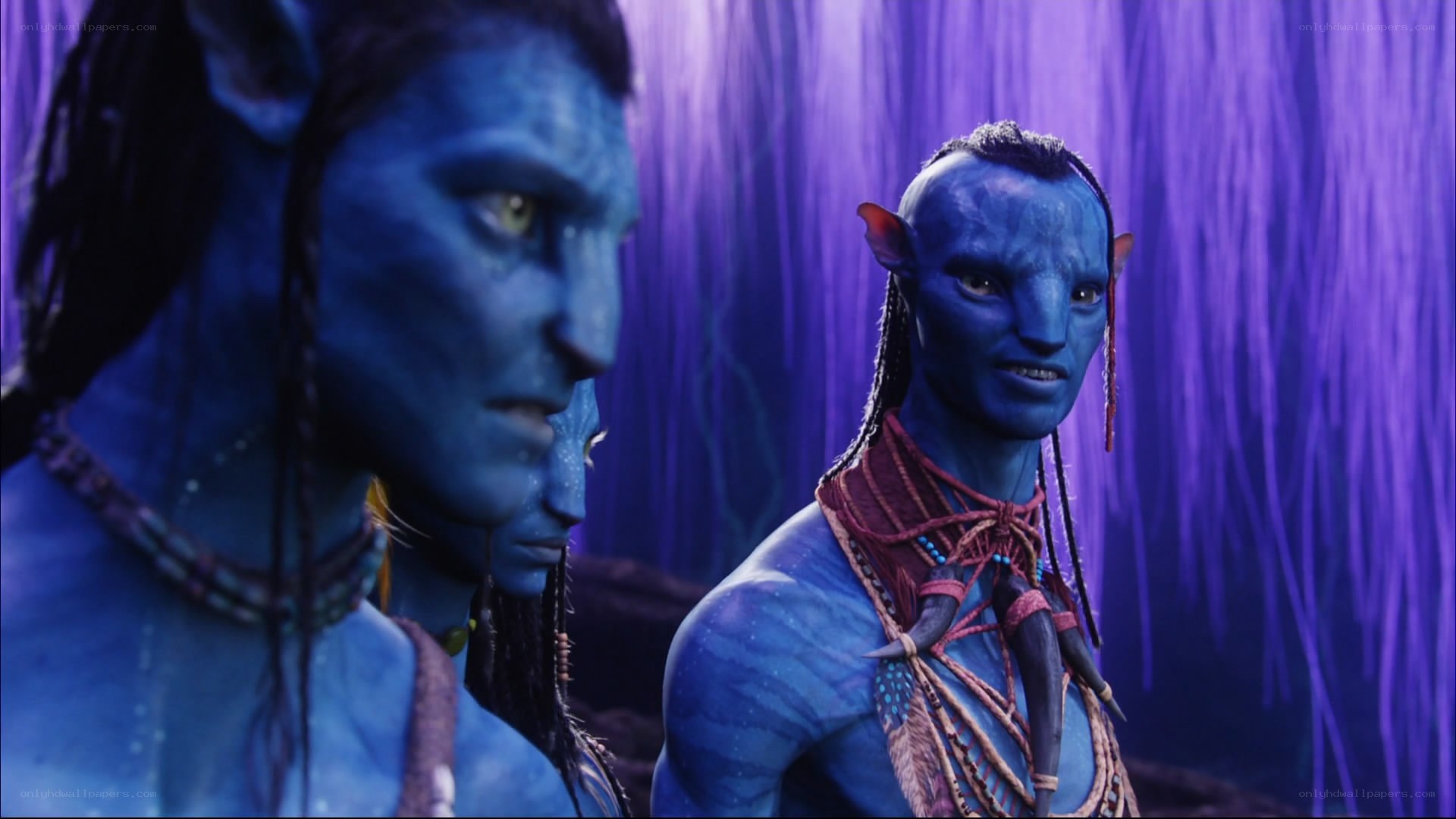 Avatar characters in purple forest