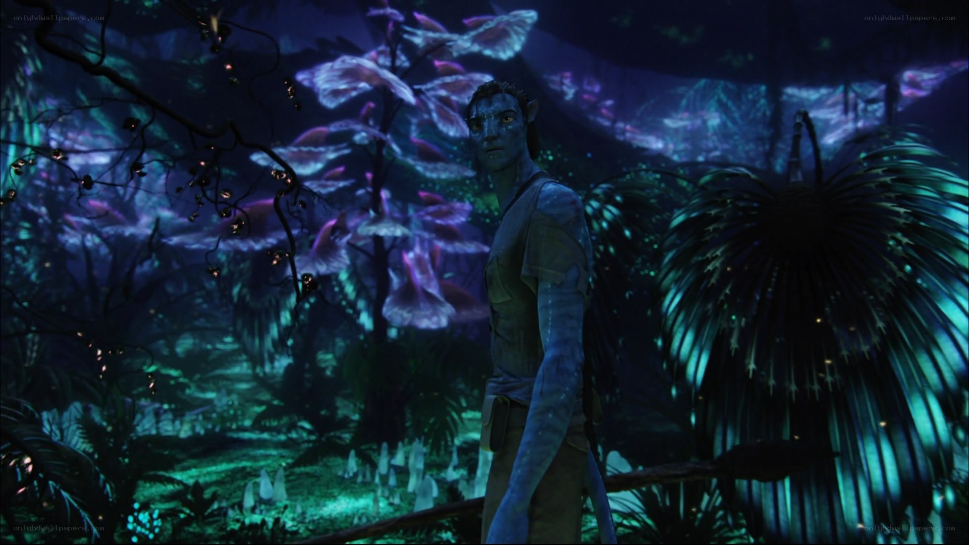 Avatar in a glowing forest