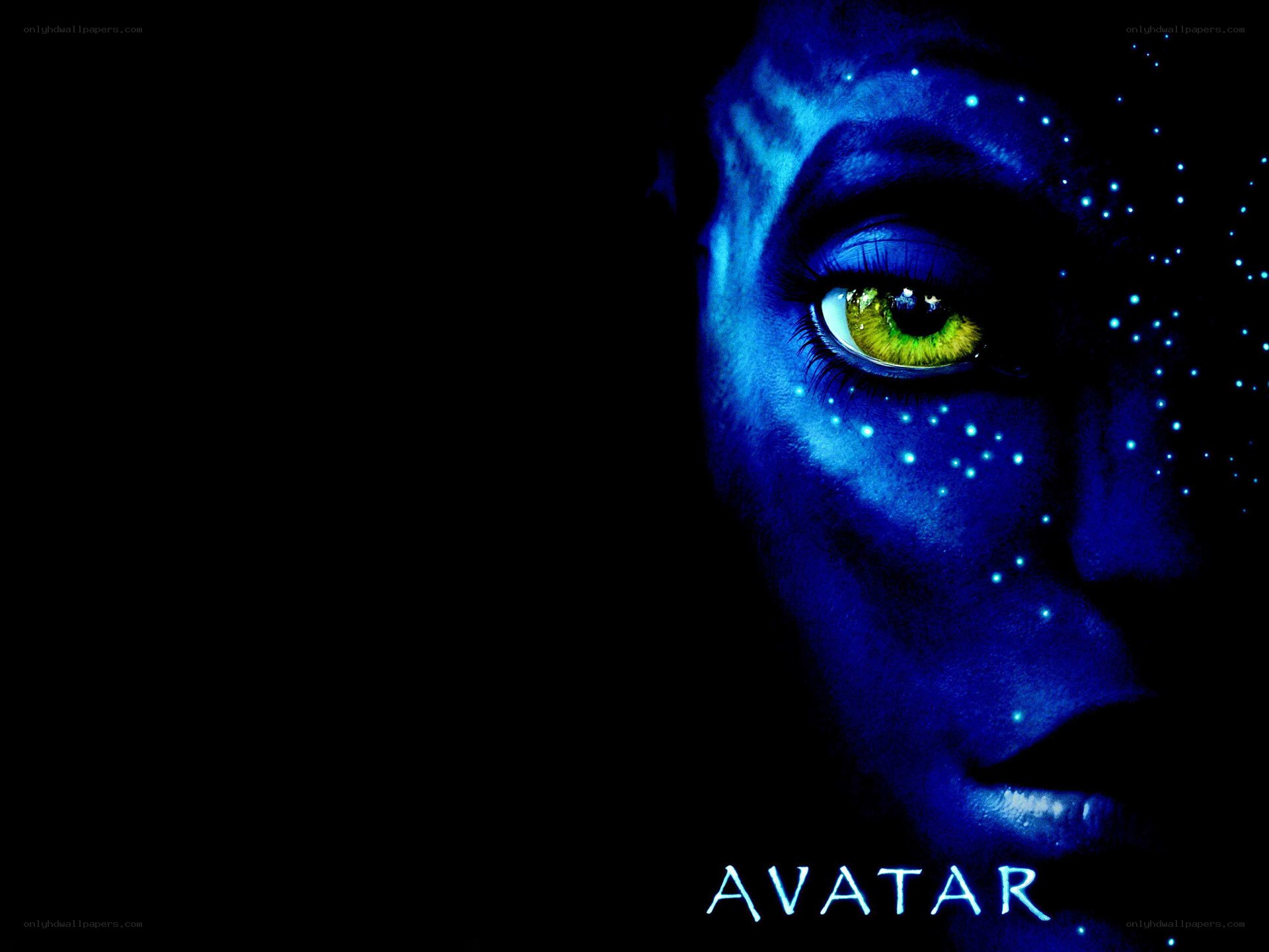 Avatar movie poster close-up