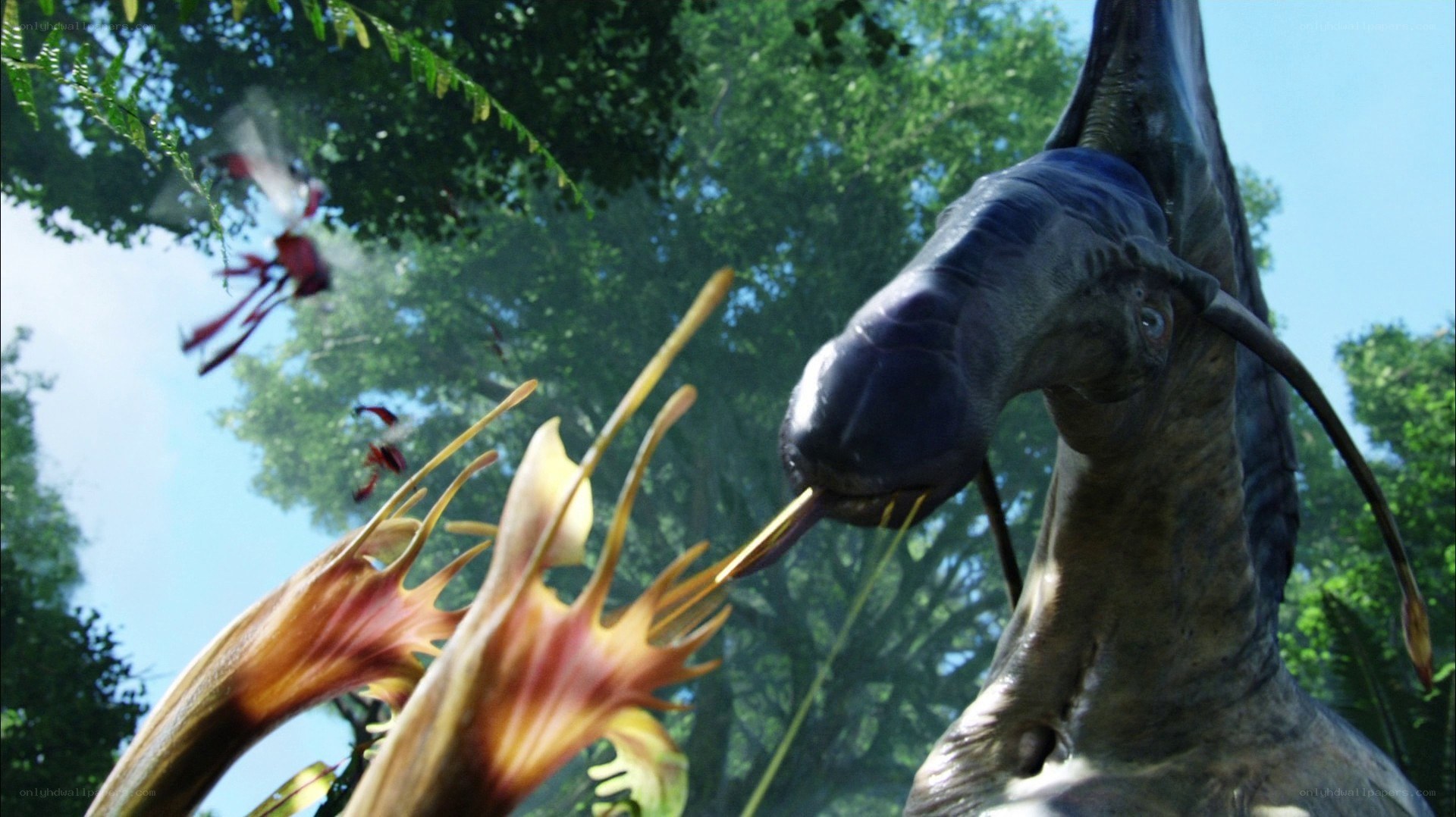Avatar: Na'vi and banshee