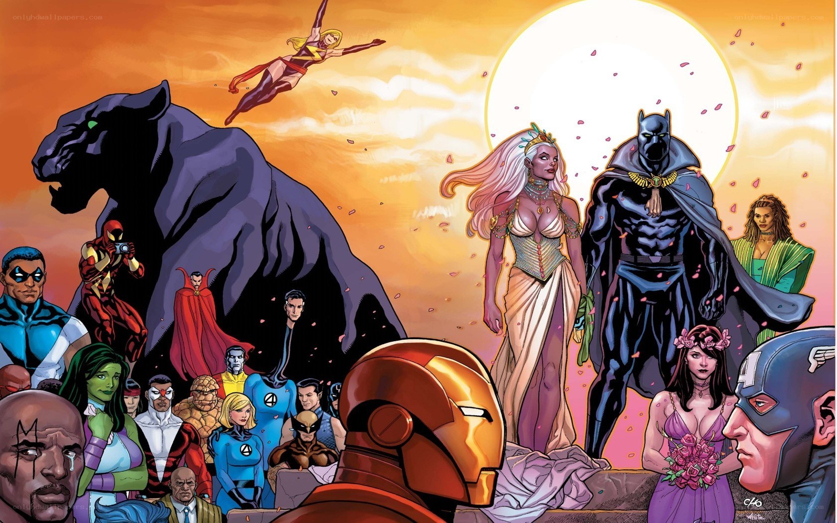Avengers and Black Panther wedding
