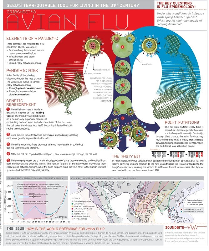 Avian Flu Crib Sheet