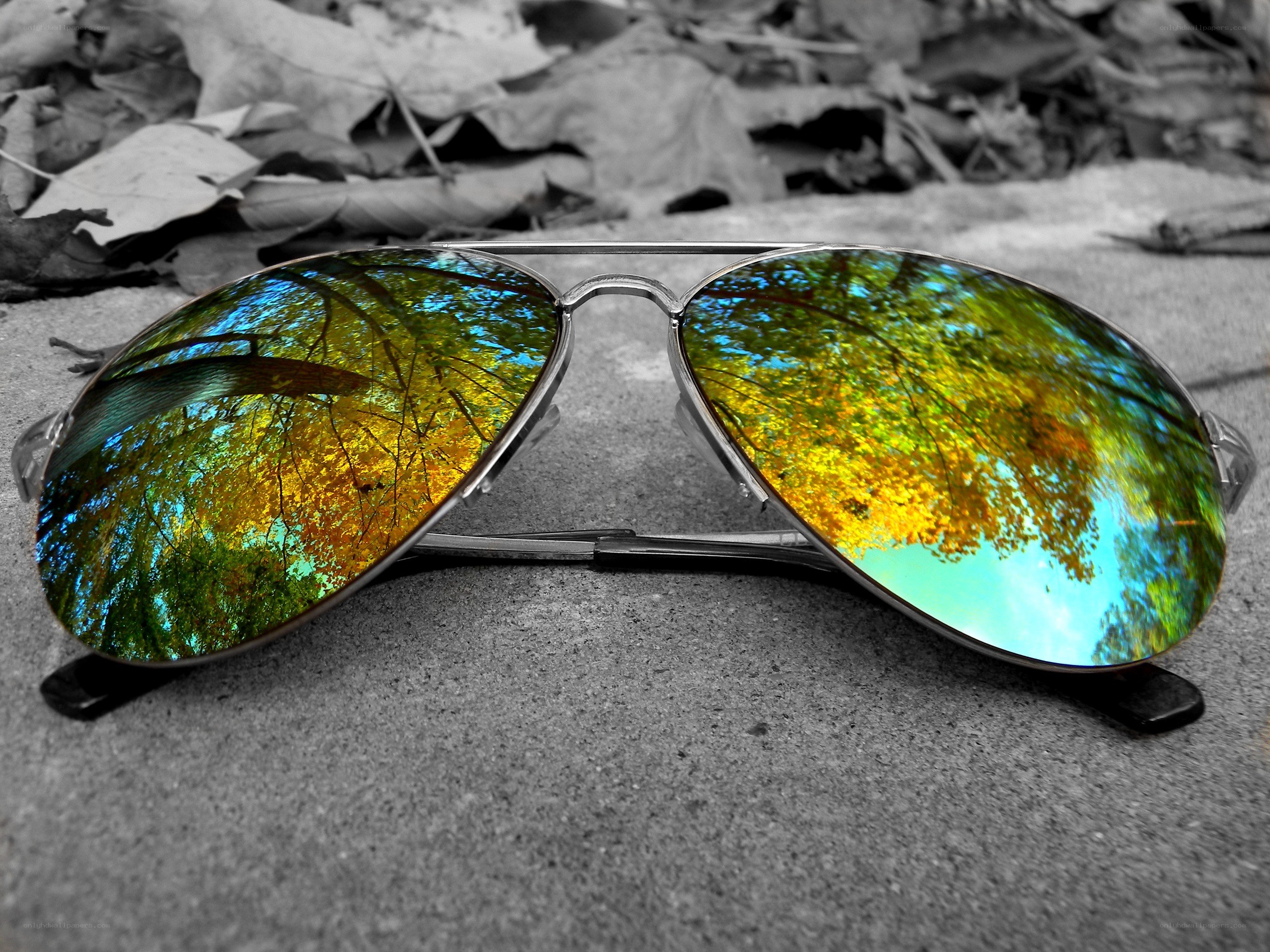 Aviator sunglasses with nature reflection