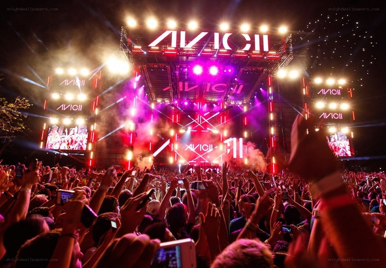 Avicii concert crowd