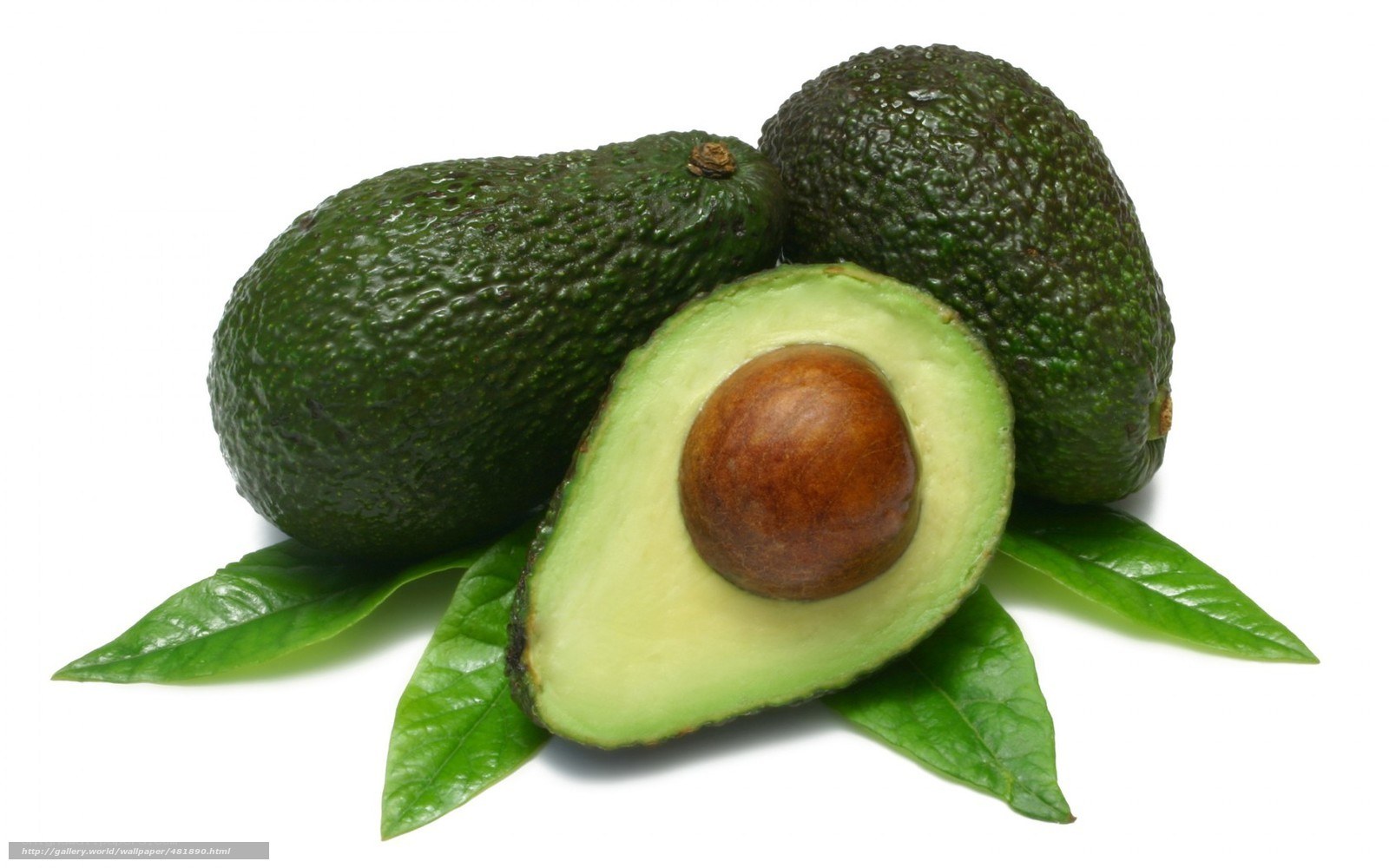 Avocados with leaves