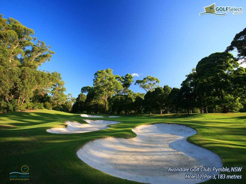Avondale Golf Club Hole 11