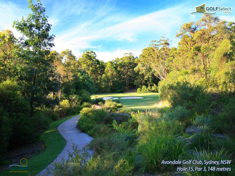 Avondale Golf Club Hole 15