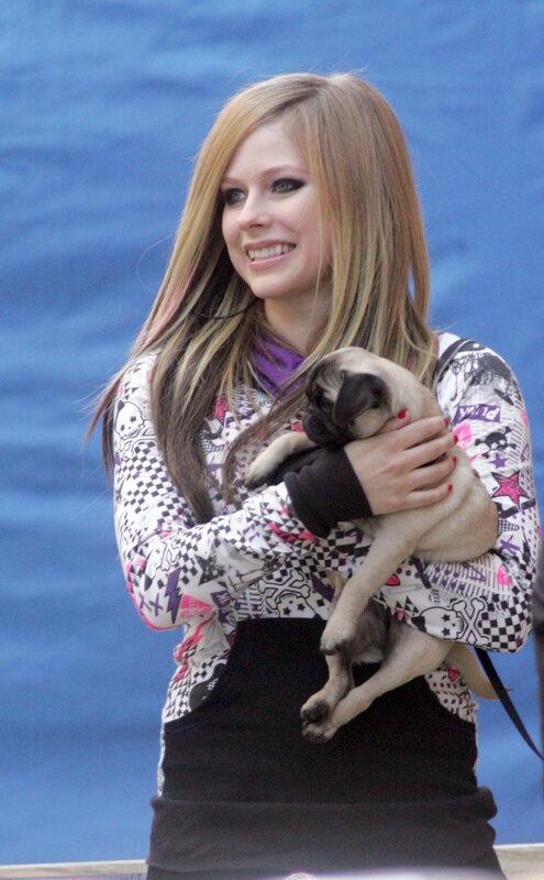 Avril Lavigne holding a puppy