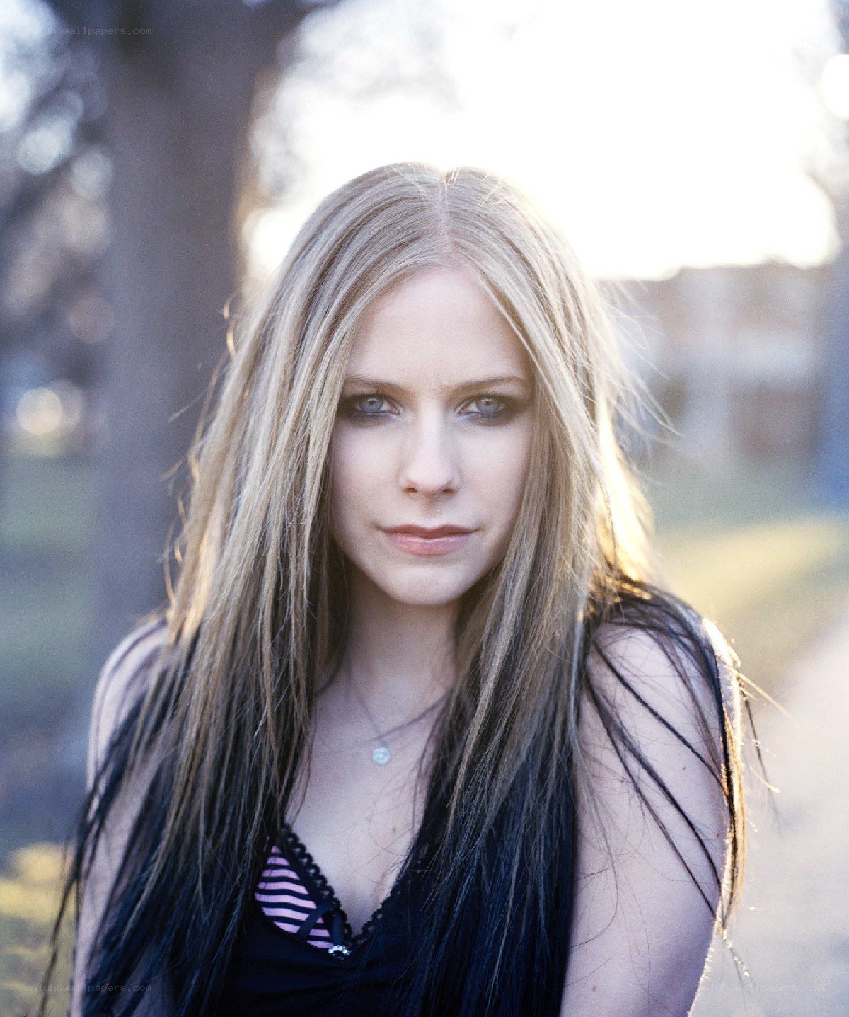 Avril Lavigne portrait