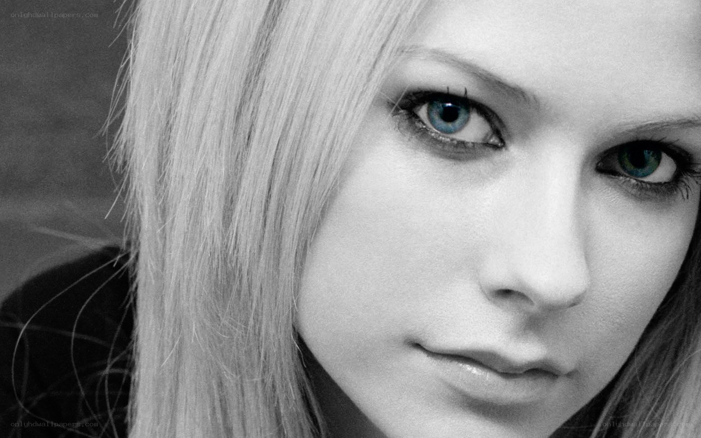 Avril Lavigne portrait