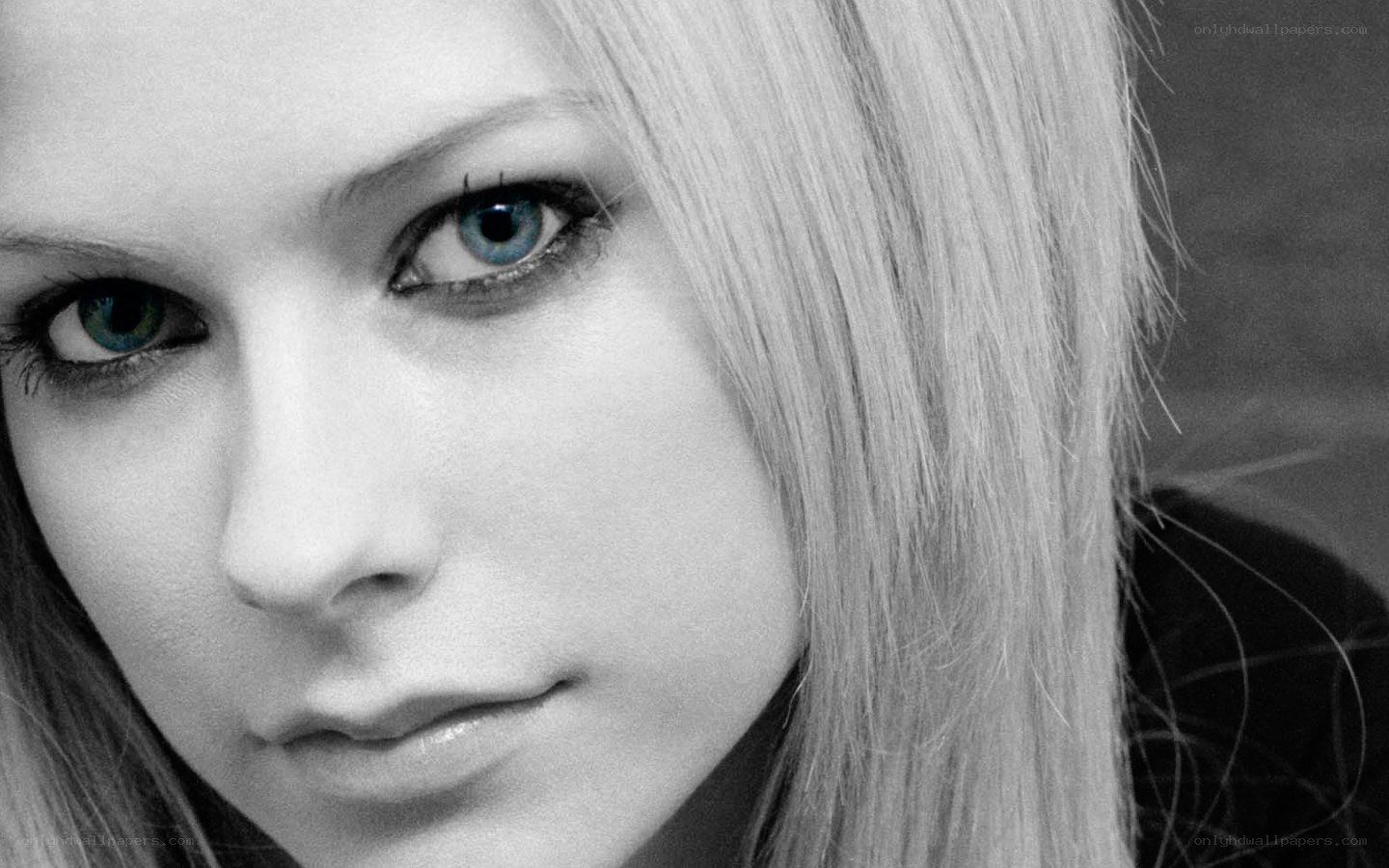 Avril Lavigne portrait