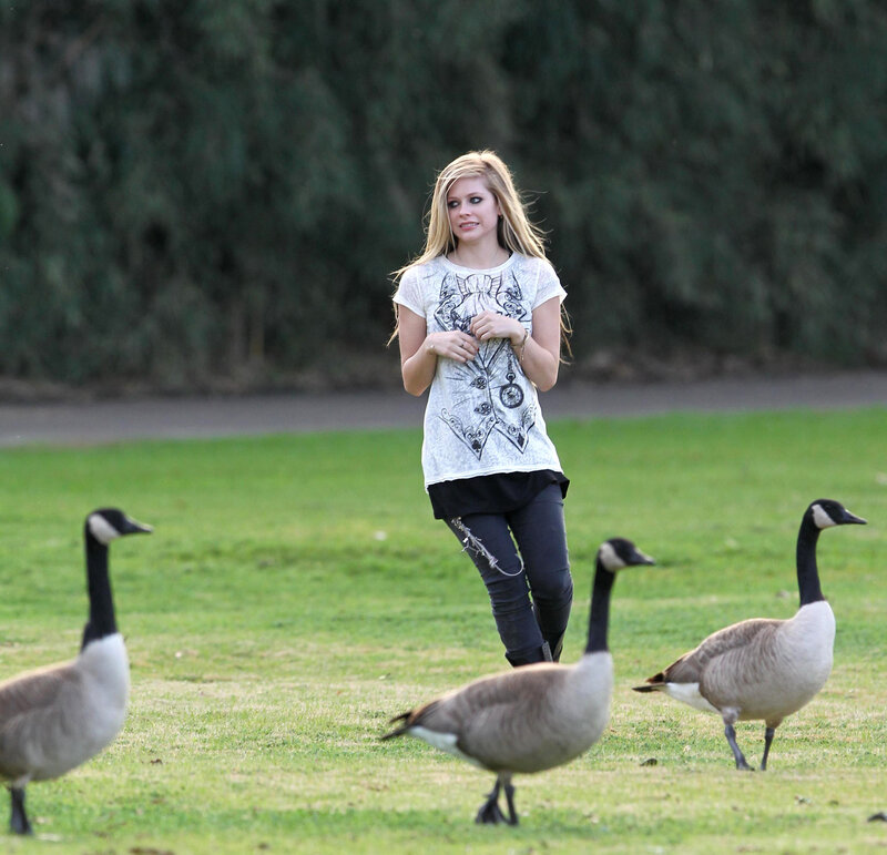 Avril Lavigne with geese