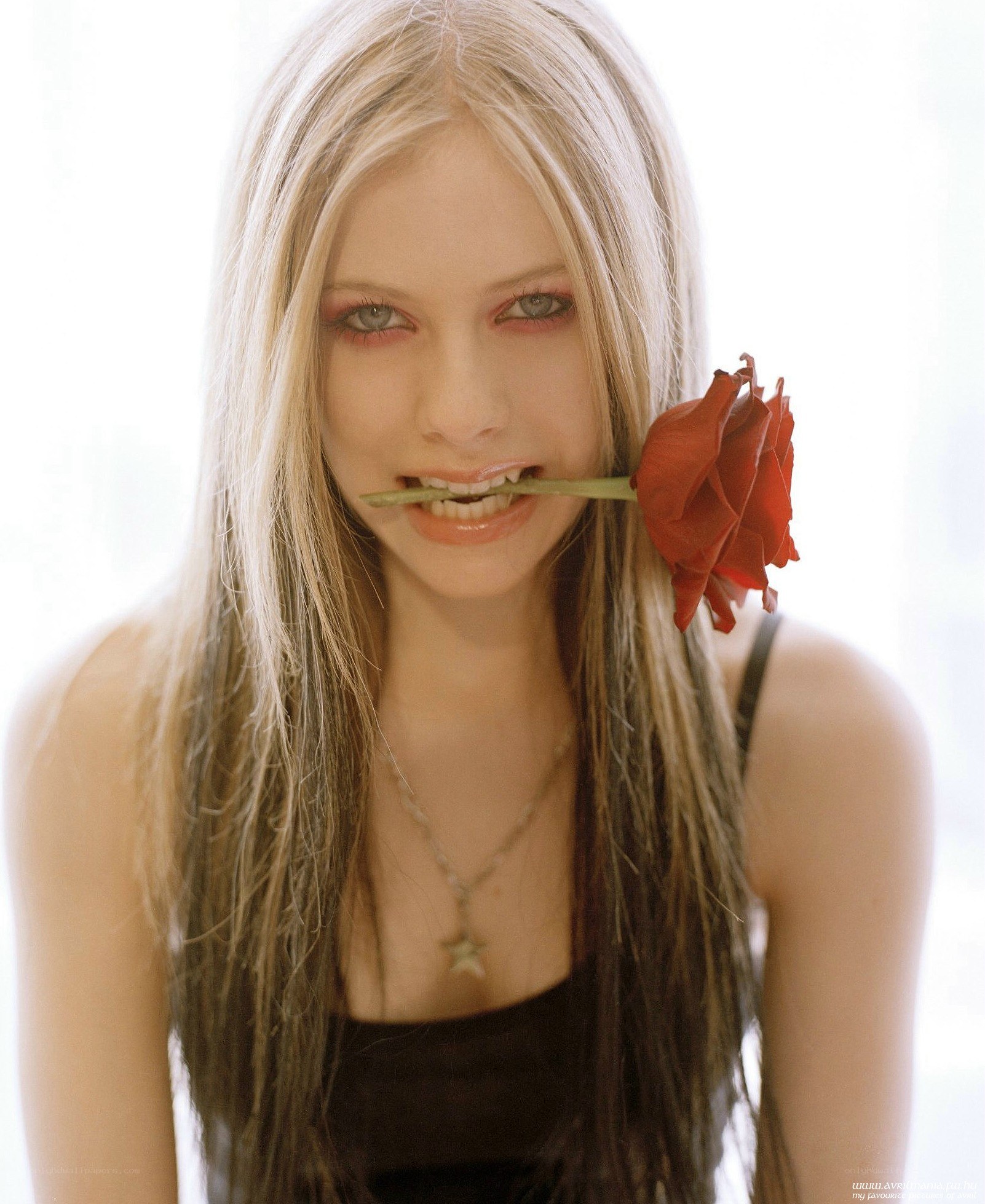 Avril Lavigne with rose