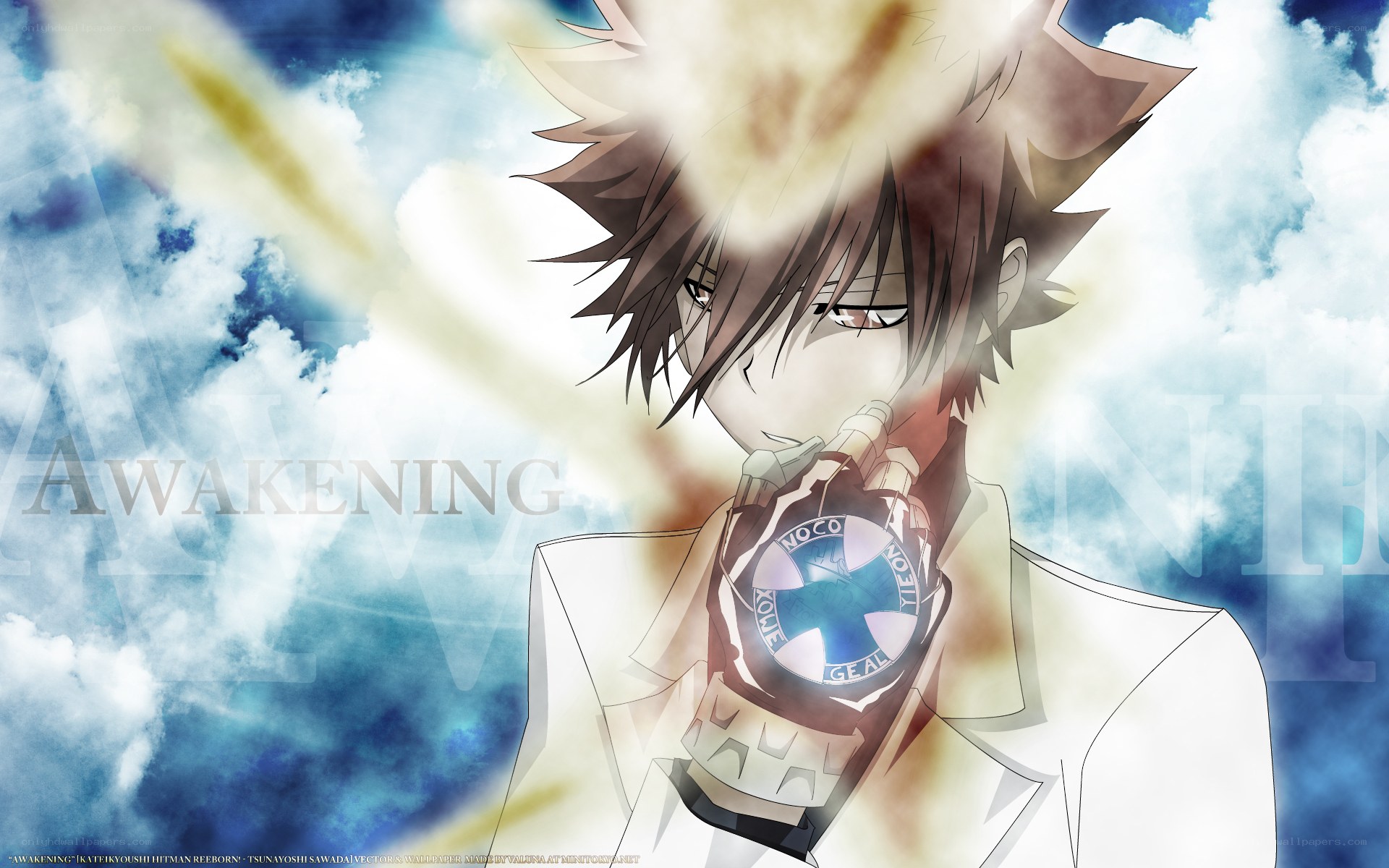 Awakening: Tsunayoshi Sawada