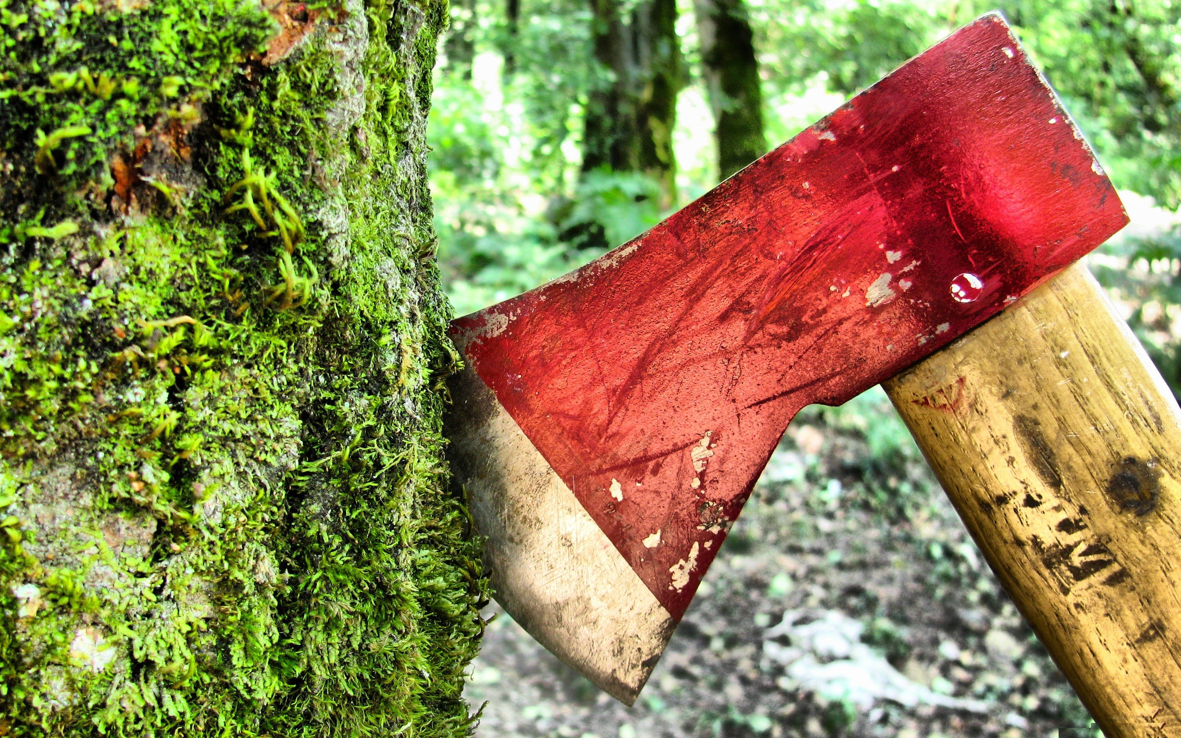 Axe embedded in a mossy tree