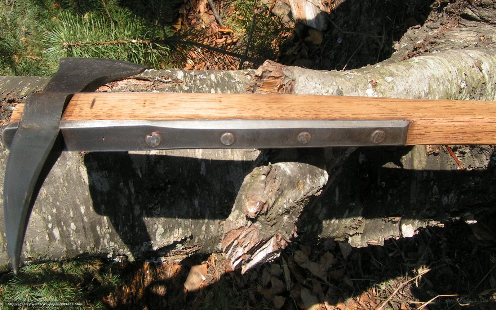 axe on a log in forest