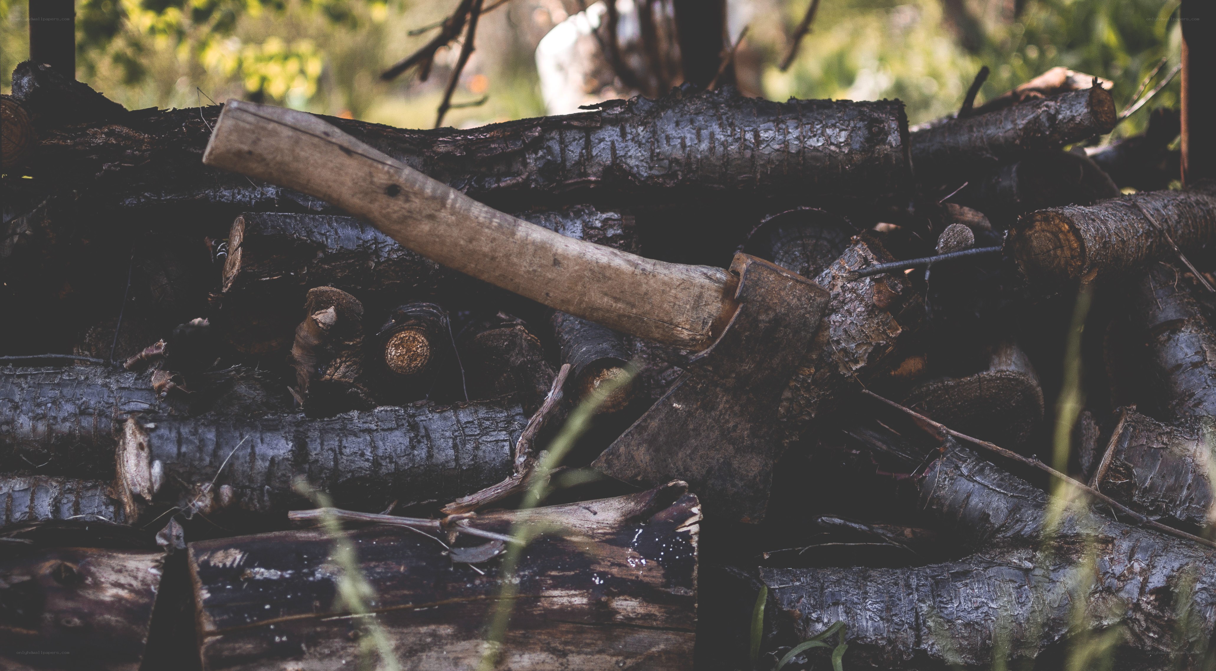 axe on chopped wood pile