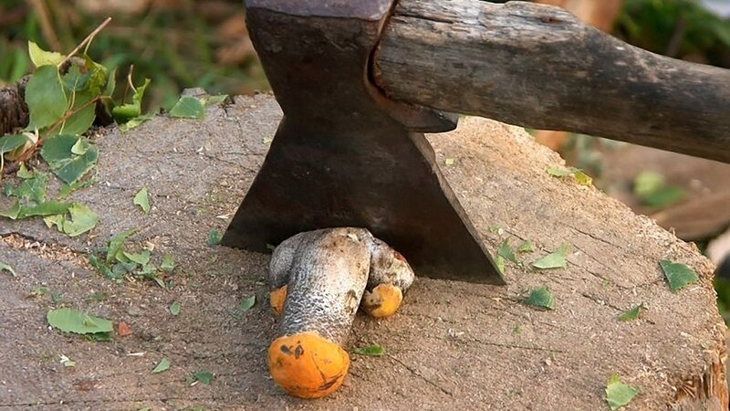 axe on log with mushroom