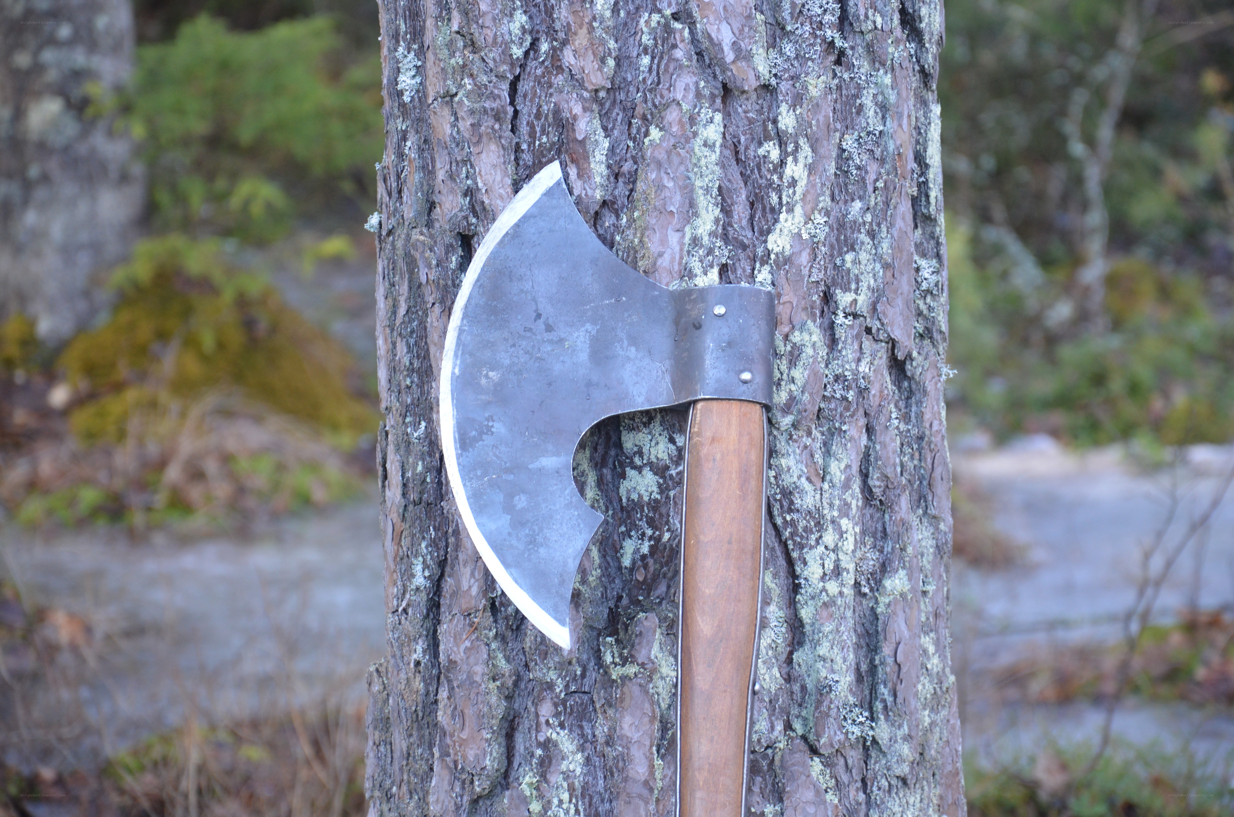 Axe stuck in a tree