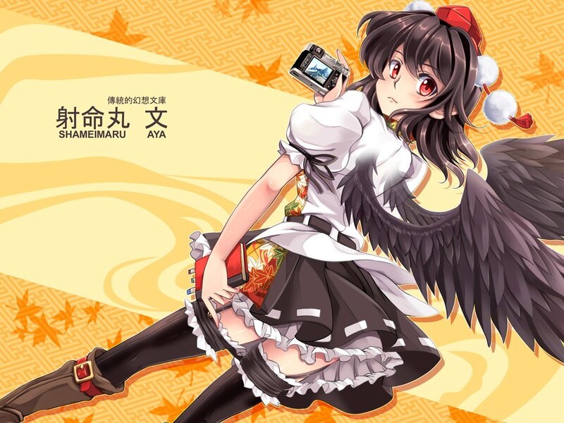Aya from Touhou Project