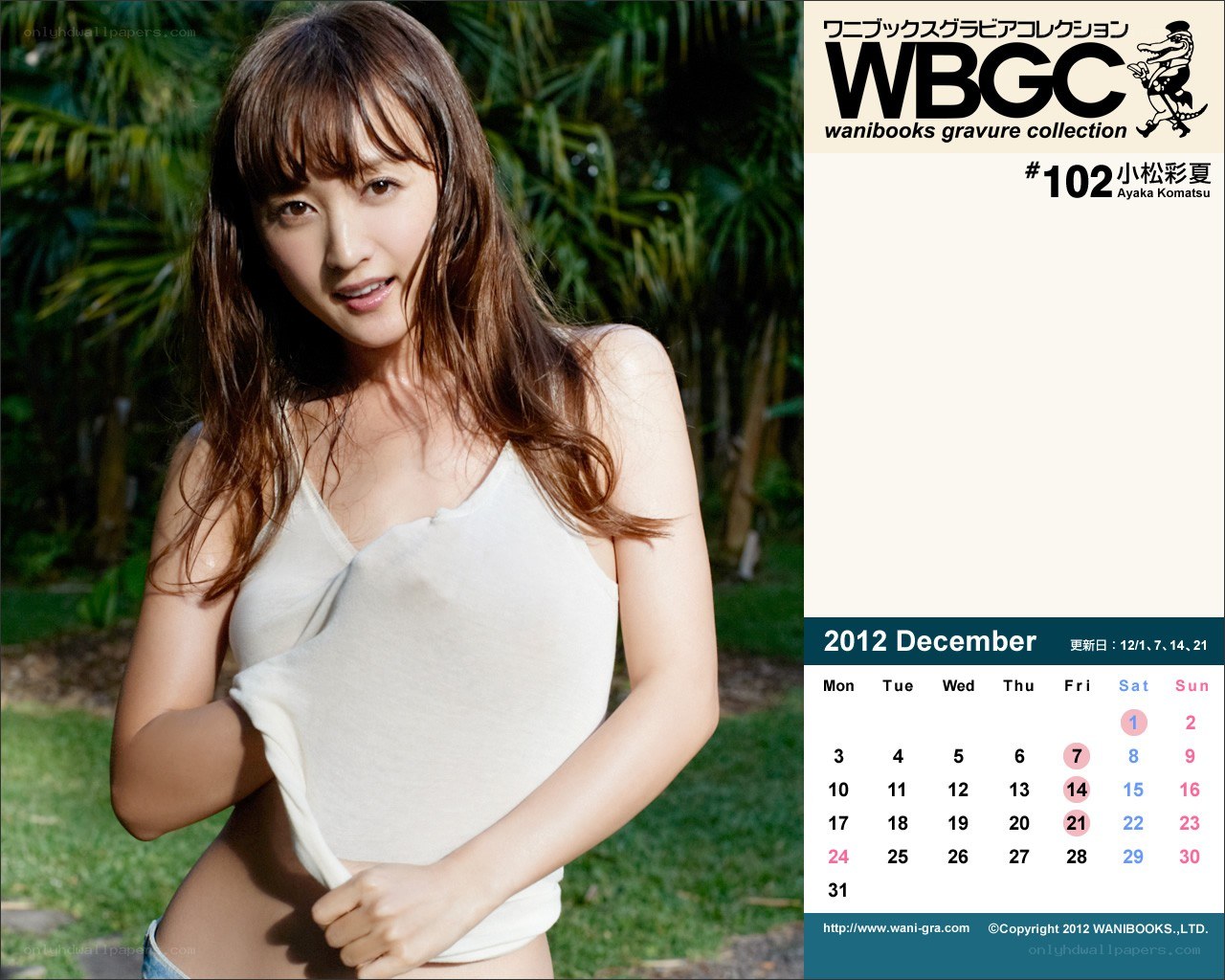 Ayaka Komatsu December calendar