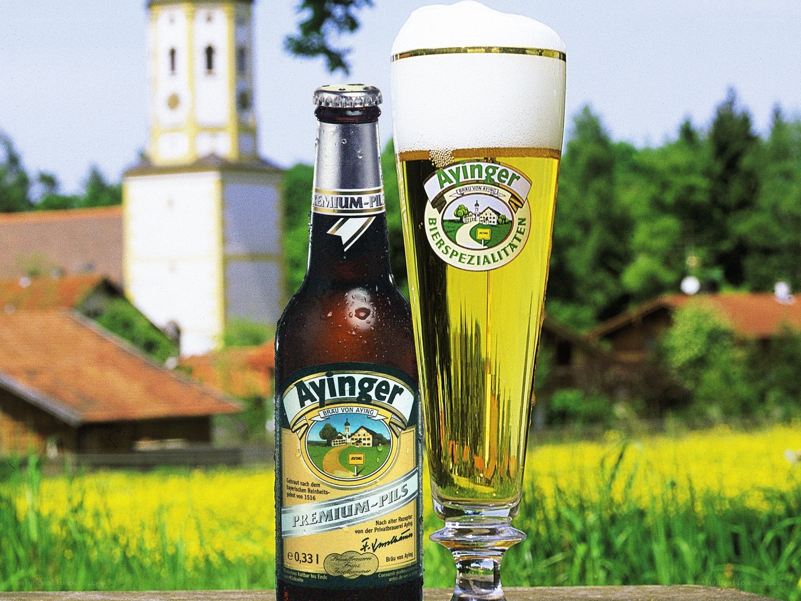 Ayinger beer in a field