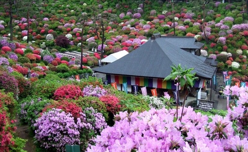Azalea Garden with Pavilion