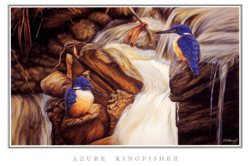 Azure Kingfisher Birds