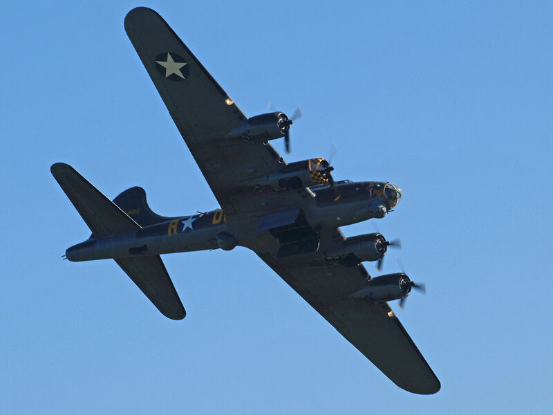 B-17 Bomber Aircraft — Blue, Dynamic