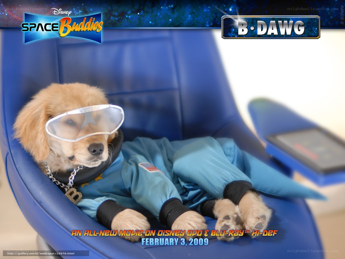 B-Dawg in space suit