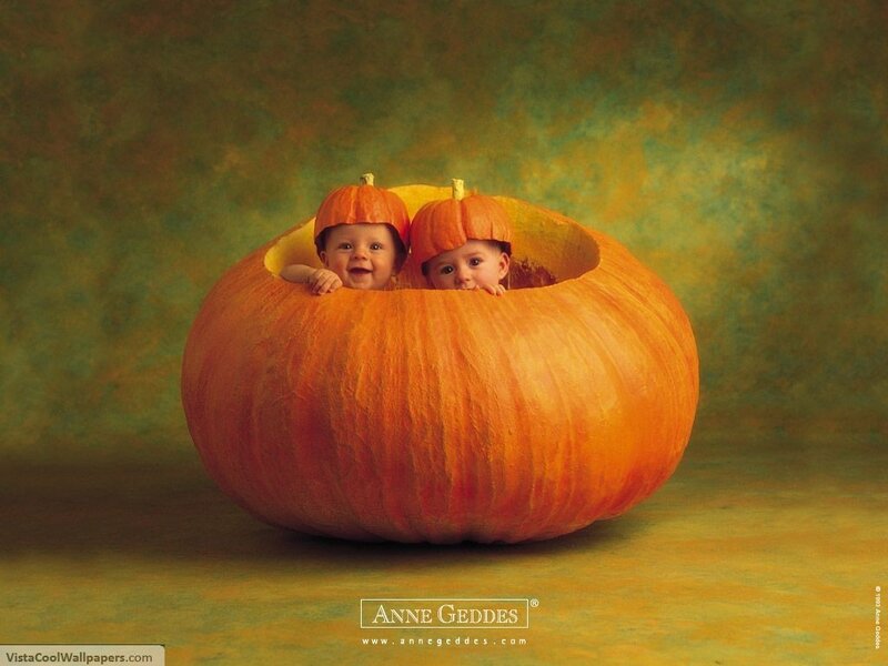 babies in a pumpkin