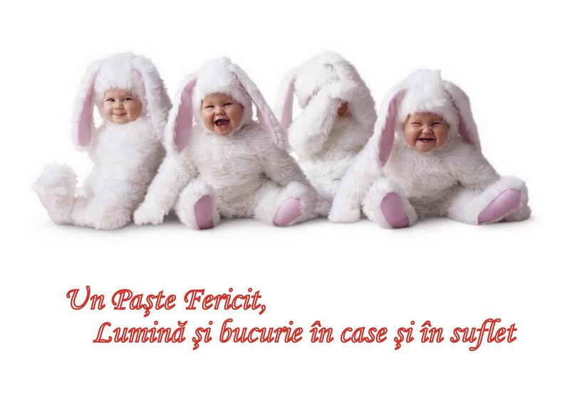 Babies in Bunny Costumes — White