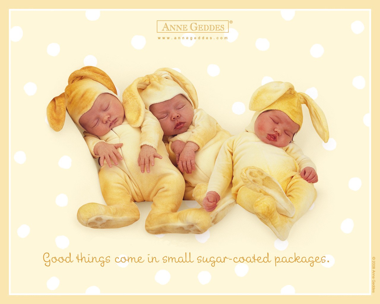 Babies in bunny costumes