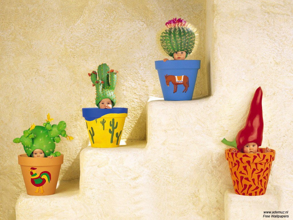 Babies in cactus costumes