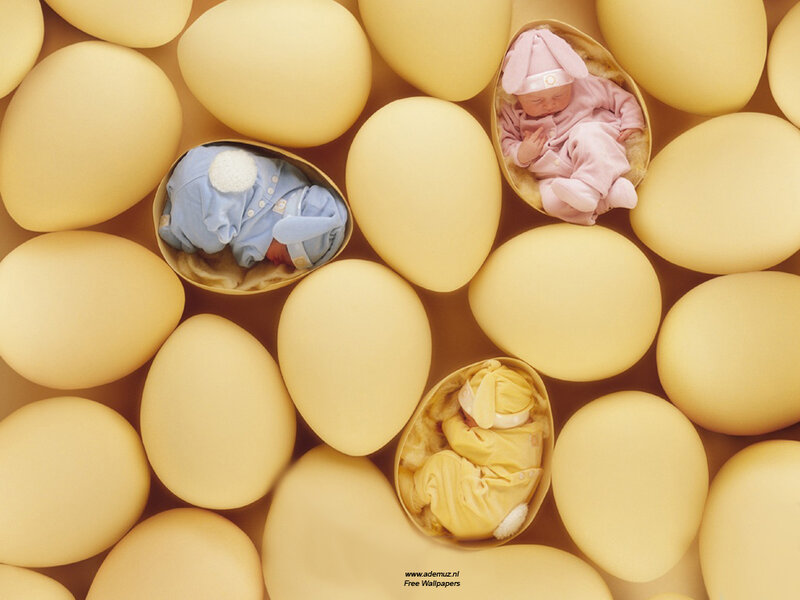 Babies in egg shells