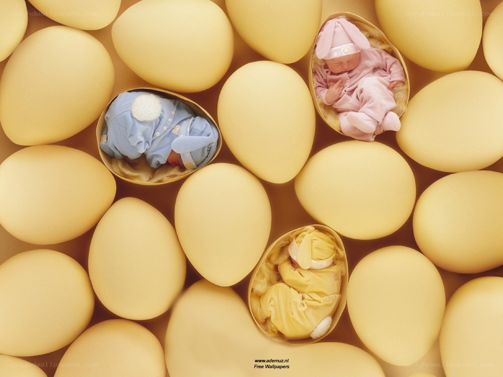 Babies in egg shells