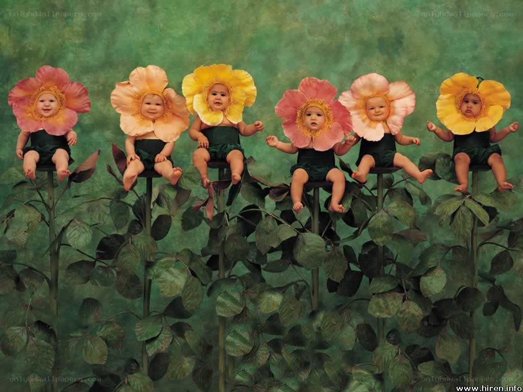 Babies in flower costumes