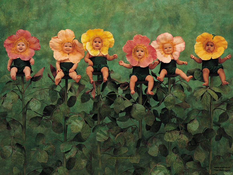 Babies in Flower Costumes — Green, Whimsical, Photograph
