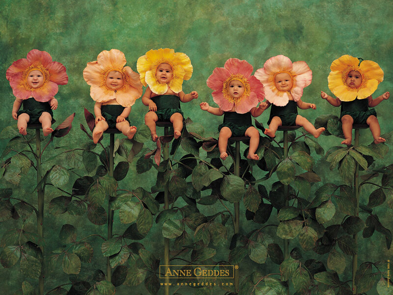 Babies in flower costumes
