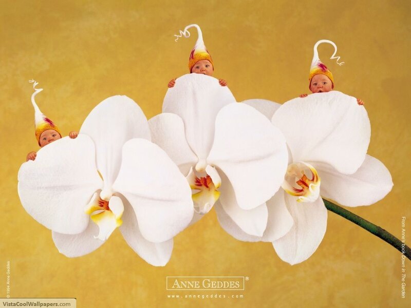 Babies in flower hats