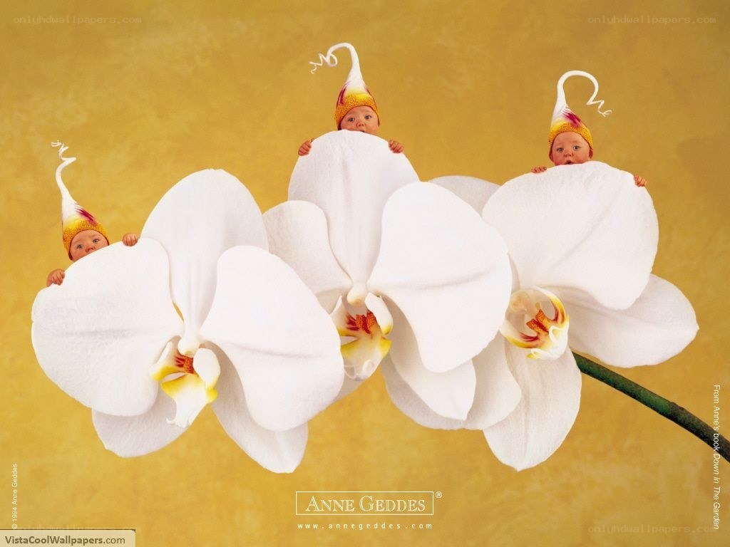 Babies in flower hats