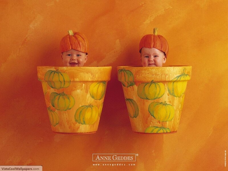 Babies in pumpkin pots