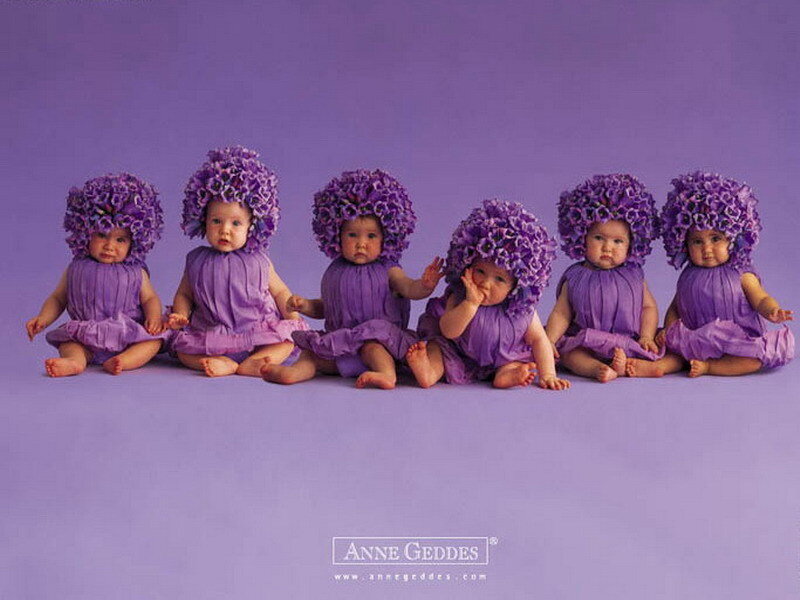 Babies in purple costumes