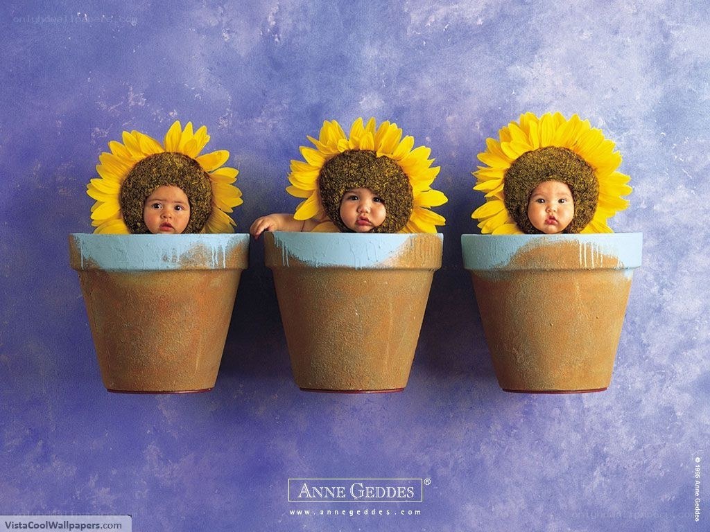 Babies in sunflower hats