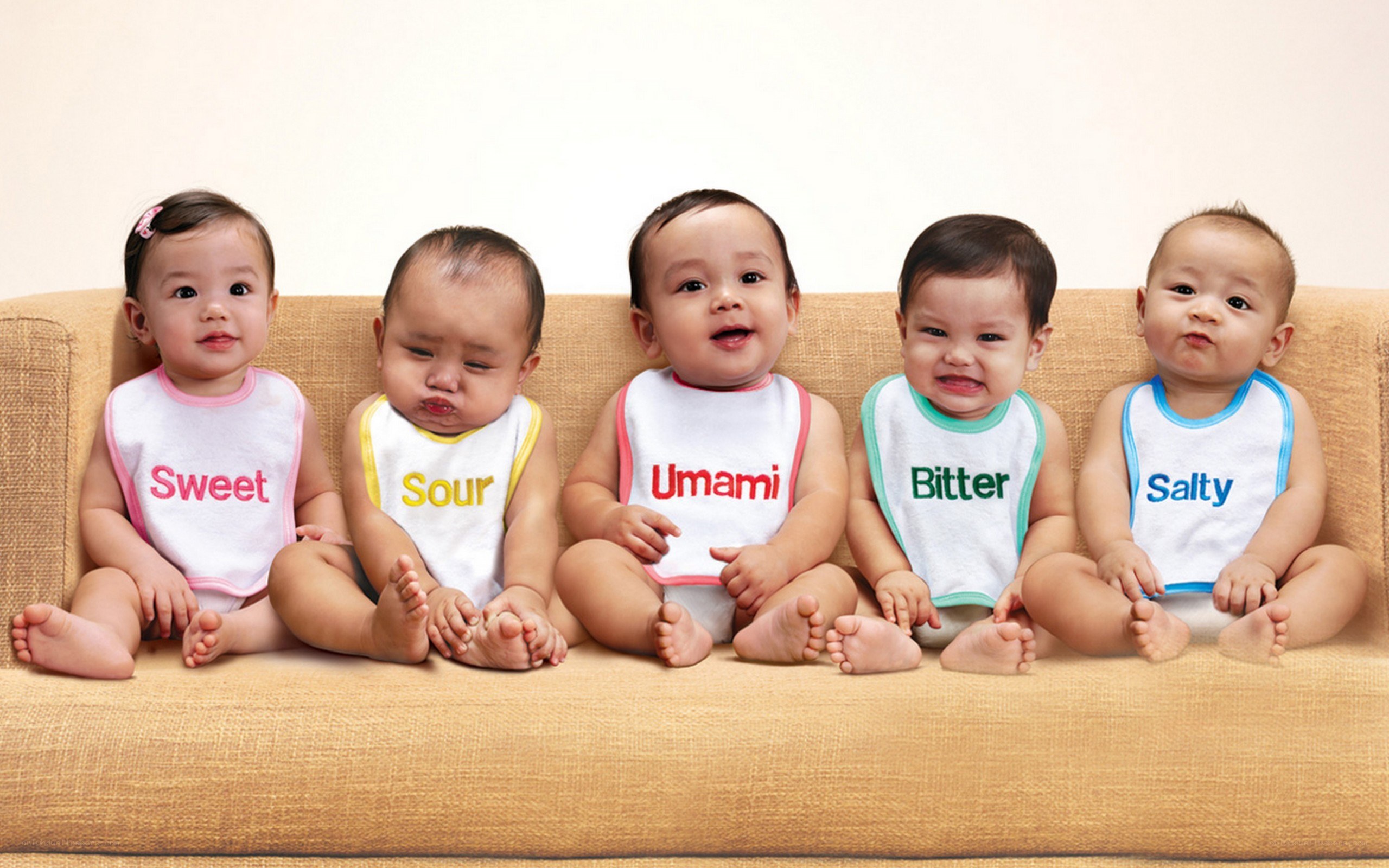babies with taste-themed bibs