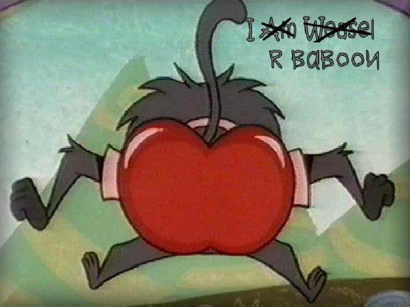 Baboon with apple