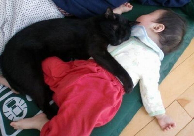 Baby and Black Cat