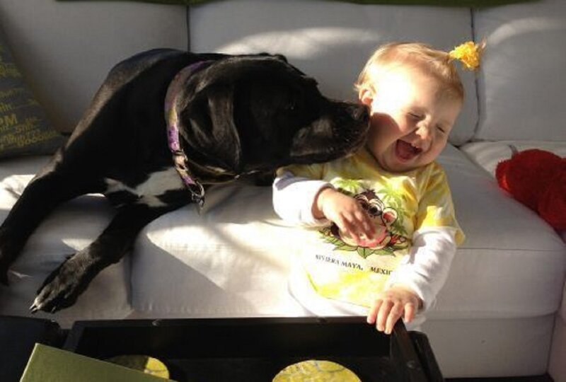 Baby and Black Dog
