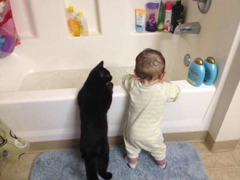 Baby and Cat at Bathtub