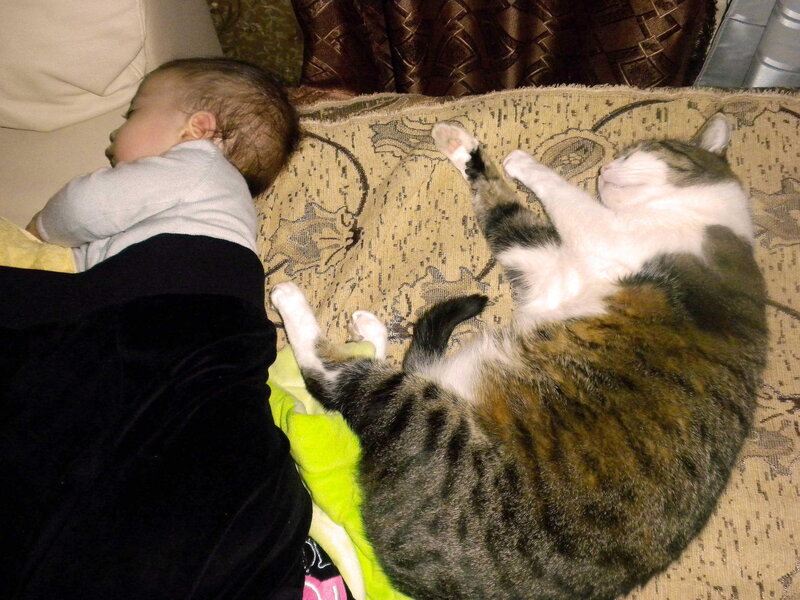 Baby and Cat Sleeping — Brown